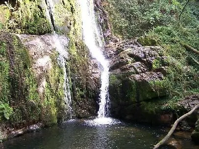 아파트 Rurales Galpones *