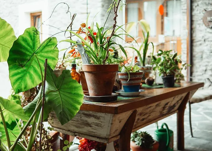 Appartamento Rurales Galpones *