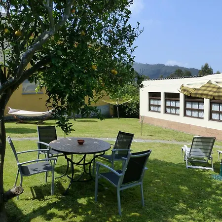 Rurales Galpones Coaña