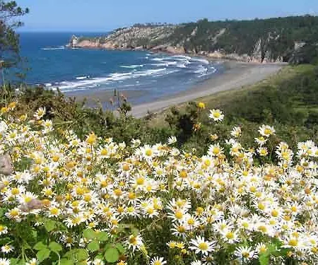 アパート Rurales Galpones